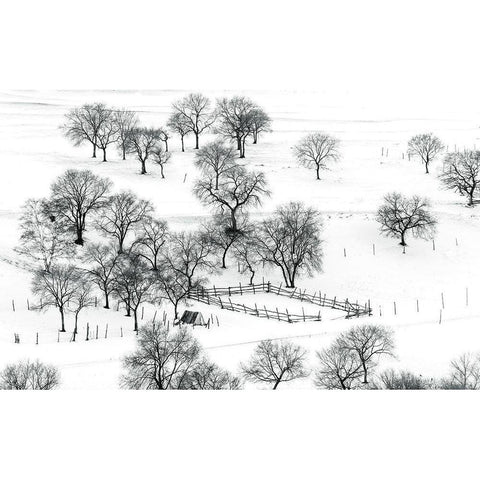 Bashang Winter Black Modern Wood Framed Art Print with Double Matting by Zhu, Hua