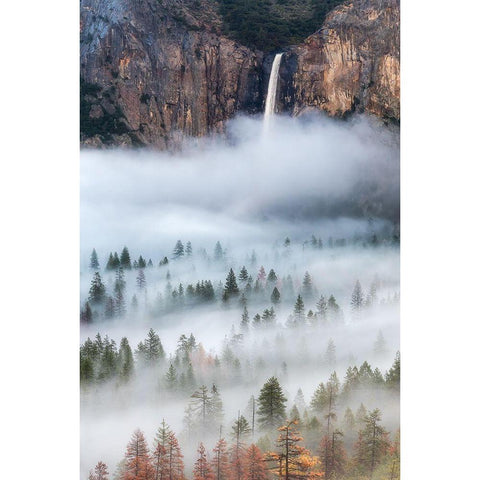 Mist Falls White Modern Wood Framed Art Print by Yoshizawa, Brandon