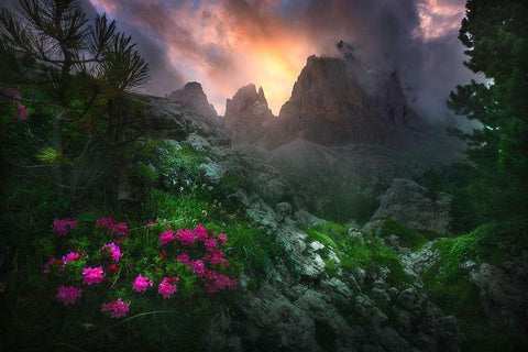 Garden Of Eden #2 Black Ornate Wood Framed Art Print with Double Matting by Rebustini, Luca