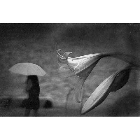 Untitled White Modern Wood Framed Art Print by Tsuchida, Teruhiko