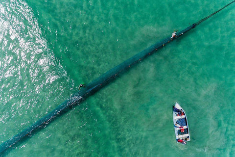 Fisher White Modern Wood Framed Art Print with Double Matting by Al Farsi, Haitham