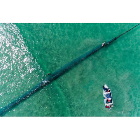 Fisher White Modern Wood Framed Art Print by Al Farsi, Haitham