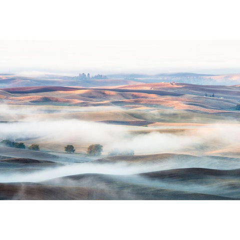 Misty Morning White Modern Wood Framed Art Print by Nguyen, Thien