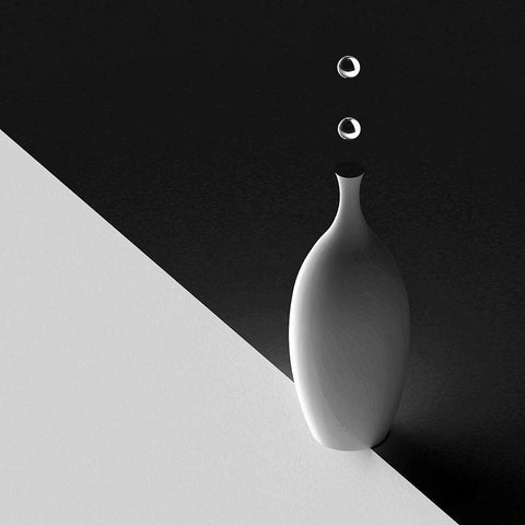 The Vase Black Modern Wood Framed Art Print by Bunjamin, Antonyus