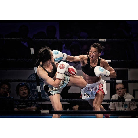 Fighters White Modern Wood Framed Art Print by Zhao, Henry