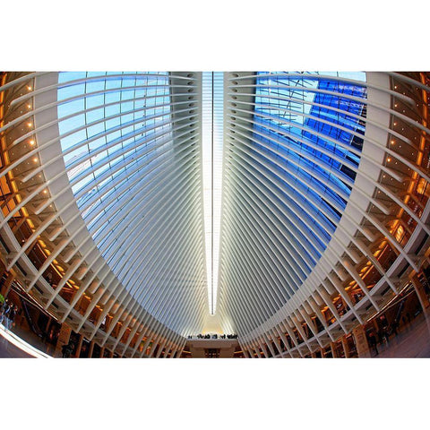 Oculus White Modern Wood Framed Art Print by Fleckenstein, Martin