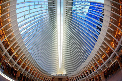 Oculus White Modern Wood Framed Art Print with Double Matting by Fleckenstein, Martin