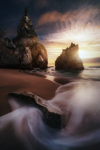 Reverse Ursa. Black Ornate Wood Framed Art Print with Double Matting by Pablo de, Juan