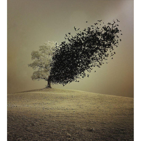 Last Hope White Modern Wood Framed Art Print by Badrnia, Radin