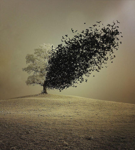 Last Hope White Modern Wood Framed Art Print with Double Matting by Badrnia, Radin