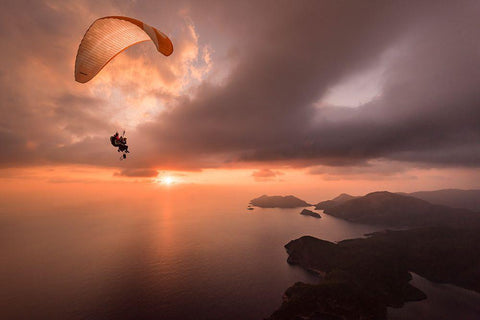 Ready To Shoot Black Ornate Wood Framed Art Print with Double Matting by Shu, Tristan