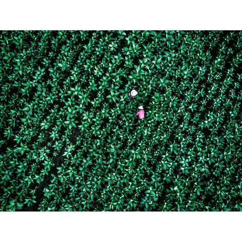 Sheer Purity White Modern Wood Framed Art Print by Chengzhou, Zhou