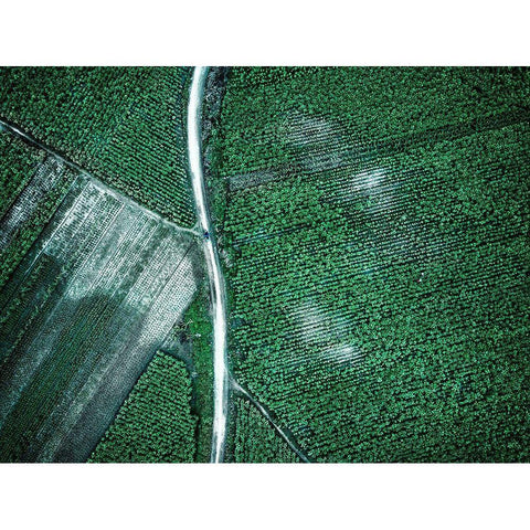 Pure Green White Modern Wood Framed Art Print by Chengzhou, Zhou