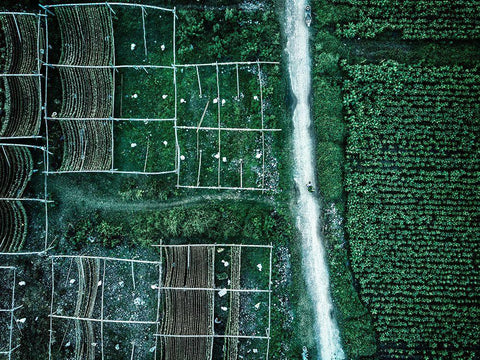 Land Of Idyllic Beauty White Modern Wood Framed Art Print with Double Matting by Chengzhou, Zhou