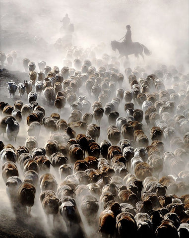 The Great Migration Of China White Modern Wood Framed Art Print with Double Matting by Wong, Adam