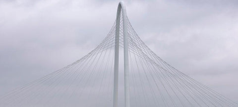 Floating Black Ornate Wood Framed Art Print with Double Matting by Autry, Steven