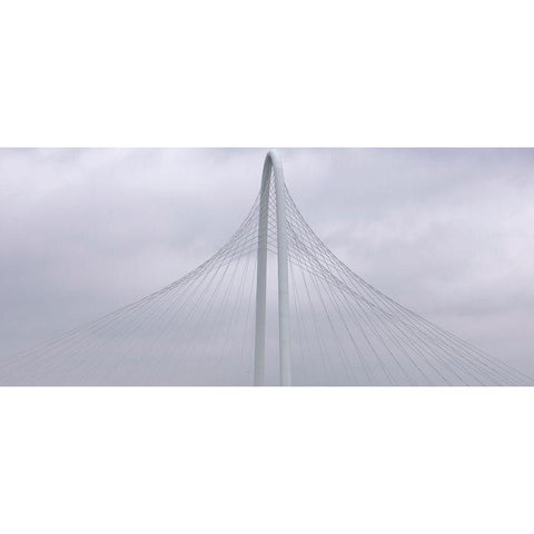 Floating Black Modern Wood Framed Art Print with Double Matting by Autry, Steven