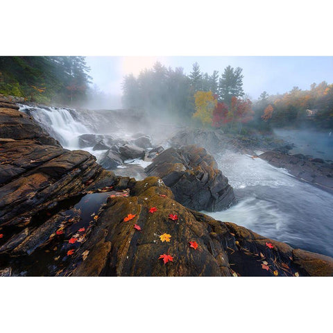 Autumn Black Modern Wood Framed Art Print with Double Matting by Jiang, Yi