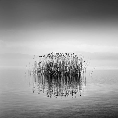 Black And White Silence Gold Ornate Wood Framed Art Print with Double Matting by Digalakis, George