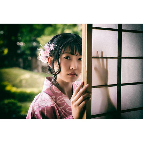 Paper Sliding Door White Modern Wood Framed Art Print by Flavor, 7