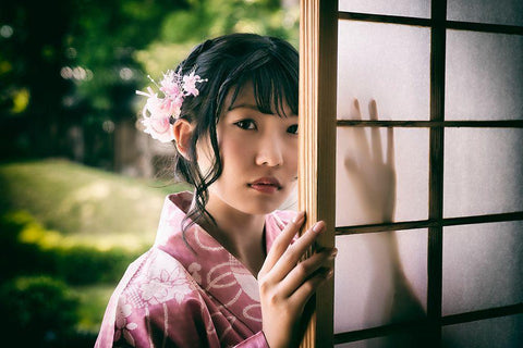 Paper Sliding Door White Modern Wood Framed Art Print with Double Matting by Flavor, 7