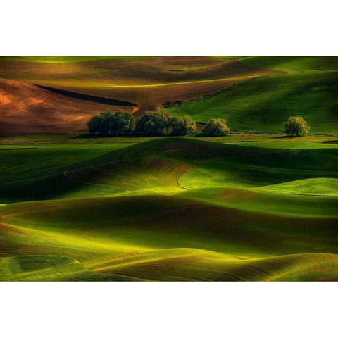 Spring In The Palouse Black Modern Wood Framed Art Print with Double Matting by Jacobs, Lydia