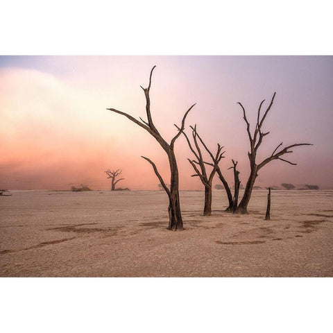 Fog In Deadvlei White Modern Wood Framed Art Print by Damico, Giuseppe