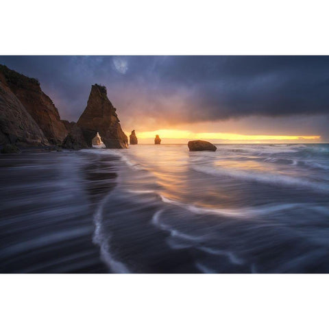 Raging Tide Gold Ornate Wood Framed Art Print with Double Matting by Fan, Tim