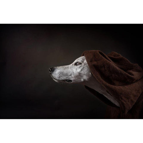 The Name Of The Rose (Umberto Ecco) White Modern Wood Framed Art Print by Willers, Heike