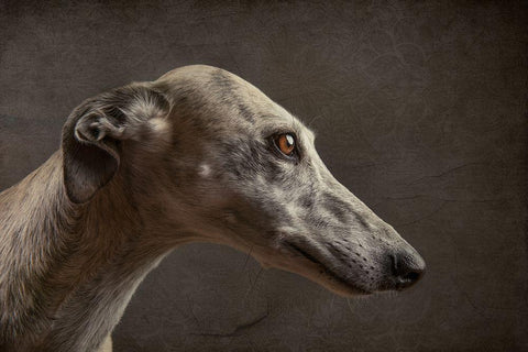 Anna Black Ornate Wood Framed Art Print with Double Matting by Willers, Heike