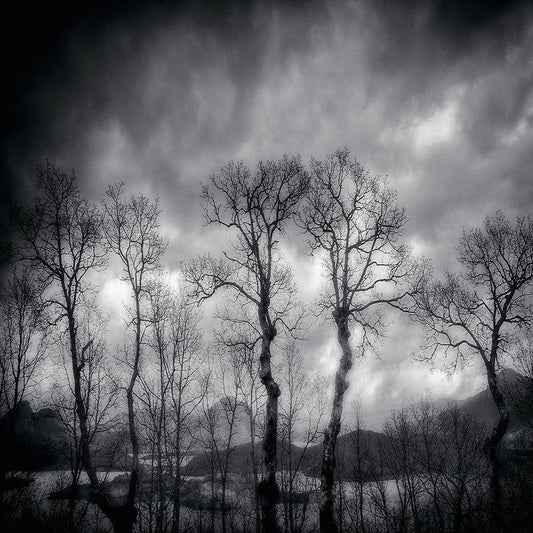 Image Only