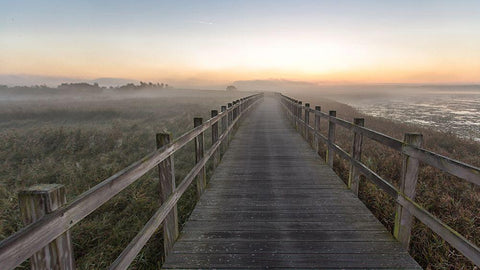 Morning Walk. Black Ornate Wood Framed Art Print with Double Matting by Londal, Leif