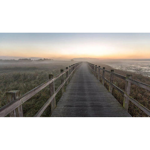 Morning Walk. White Modern Wood Framed Art Print by Londal, Leif