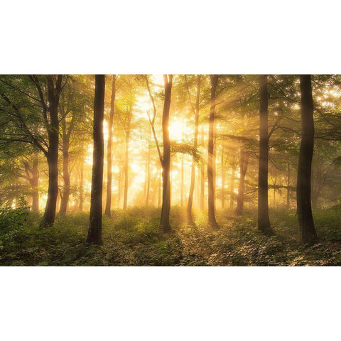 Its Nice To Love....... Gold Ornate Wood Framed Art Print with Double Matting by Londal, Leif