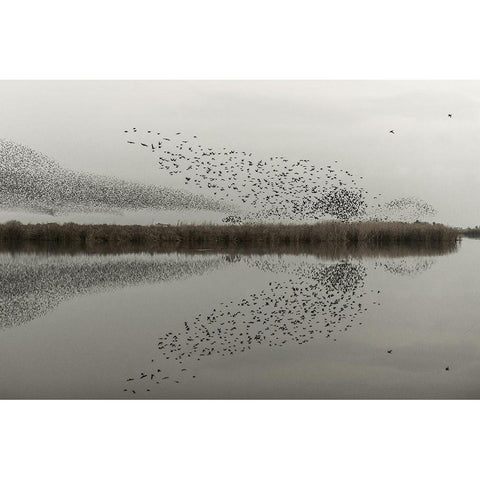 The Presence Gold Ornate Wood Framed Art Print with Double Matting by Forner Rodriguez, Joaquin