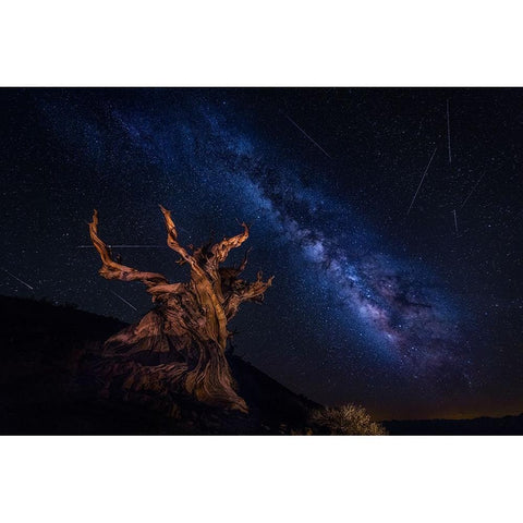 Shooting Stars Night Black Modern Wood Framed Art Print with Double Matting by Zheng, Michael