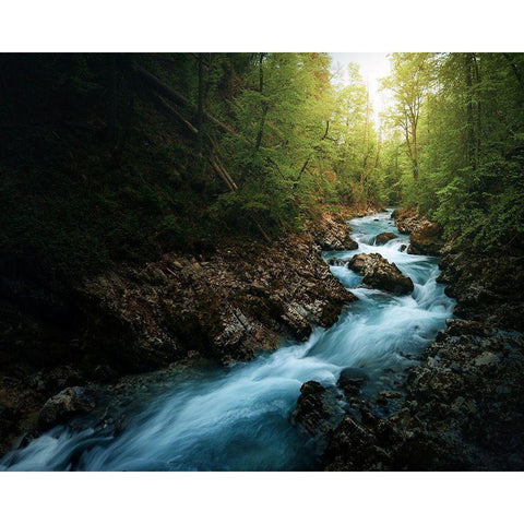 Gorge 2. Black Modern Wood Framed Art Print by Pablo De, Juan