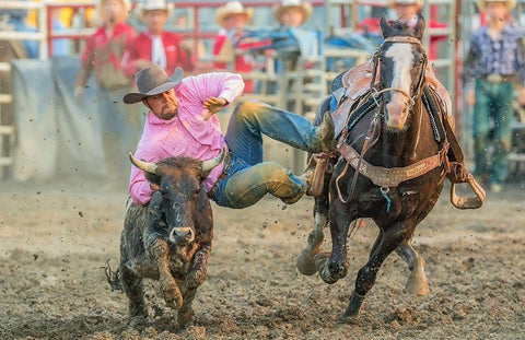 Steer Wrestling White Modern Wood Framed Art Print with Double Matting by Hua, David