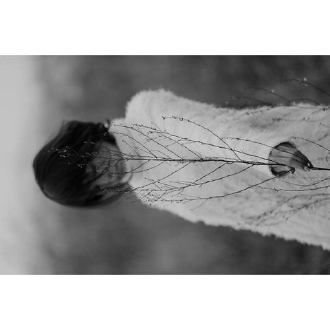 Winter Black Modern Wood Framed Art Print by Wetton, Eddie