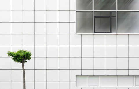 Little Tree Black Ornate Wood Framed Art Print with Double Matting by Van Son, Greetje