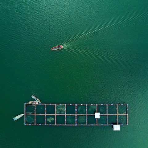 Sailing White Modern Wood Framed Art Print with Double Matting by Yuwono, Farid