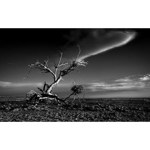 Salton Sea Sculpture Black Modern Wood Framed Art Print with Double Matting by Darby, Rob