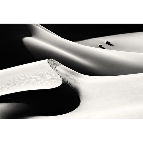 Life Black Modern Wood Framed Art Print with Double Matting by Momeni, Mohammadreza