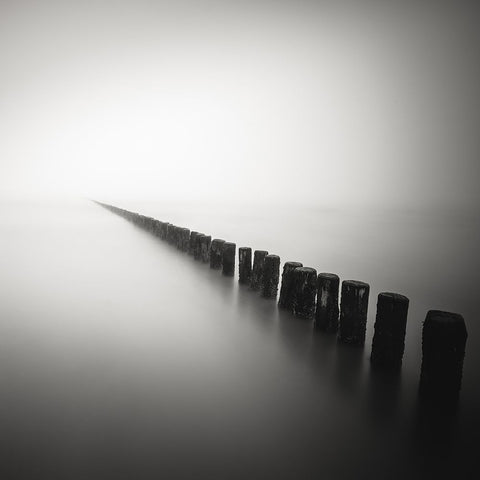 Together Alone White Modern Wood Framed Art Print with Double Matting by Staelens, Christophe