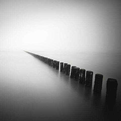 Together Alone Gold Ornate Wood Framed Art Print with Double Matting by Staelens, Christophe