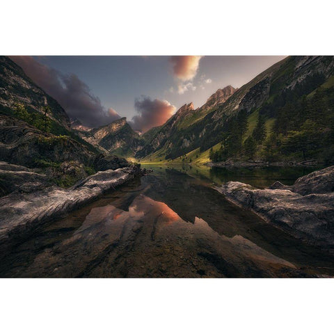 From The Fairyland Black Modern Wood Framed Art Print with Double Matting by Martin, Manuel