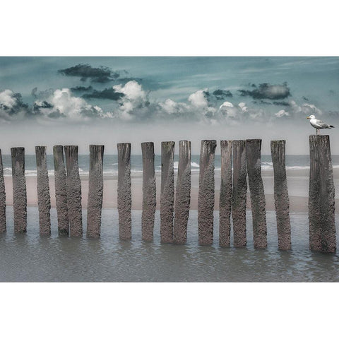 Beach Bars Black Modern Wood Framed Art Print with Double Matting by De Laat, Bernardine