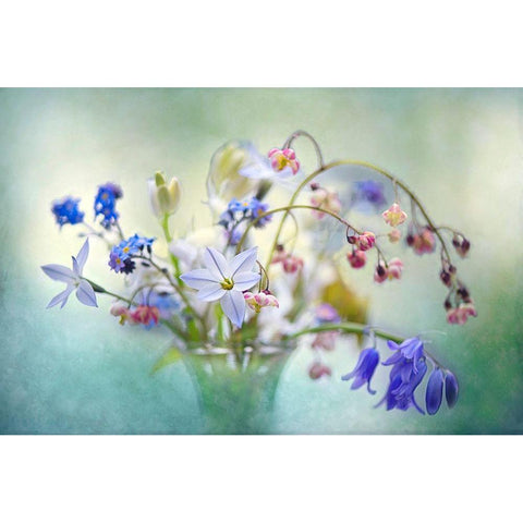 Spring Treasures White Modern Wood Framed Art Print by Parker, Jacky