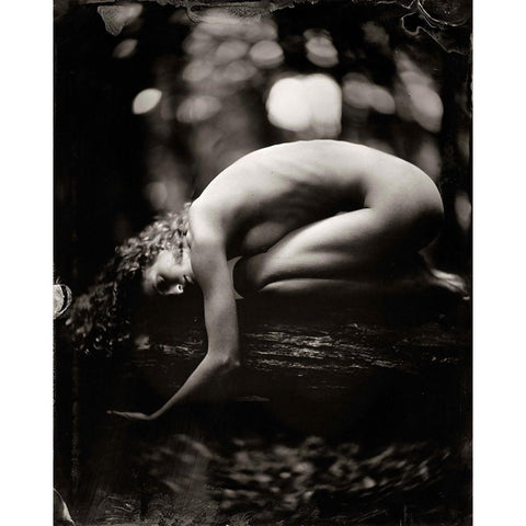 Fredau 2 Black Modern Wood Framed Art Print by van Hal, Peter