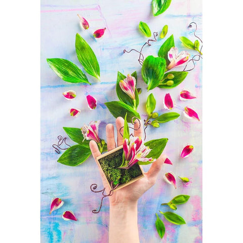 Hand Full Of Spring Black Modern Wood Framed Art Print with Double Matting by Belenko, Dina